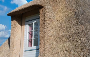 Meeth thatch roof disadvantages